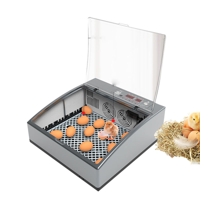 Multifunction 6-36 Egg Equipment Incubator For Automatic Hatching Eggs