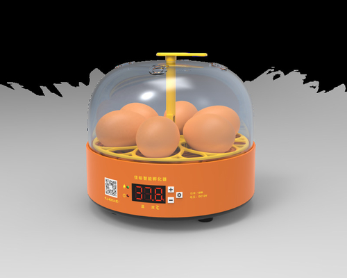 Farms New Design Incubators Hatching Manual 6 Chicken Egg Mini Chicken Egg Incubator