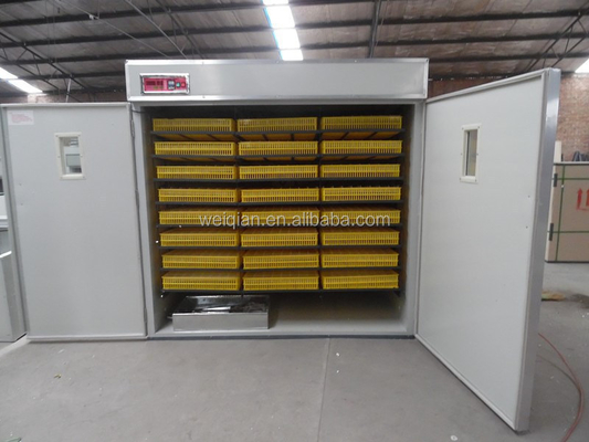 Newest 2000 bird egg chick brooder/incubators for hatching brooder